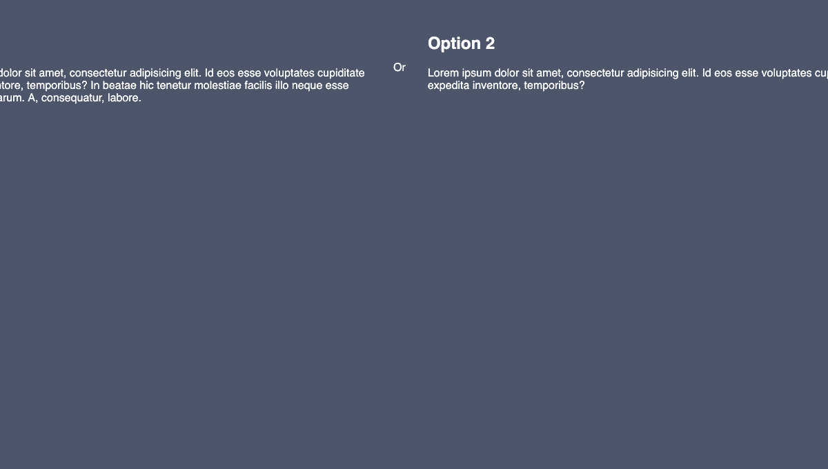 14 CSS Divider Collections 4 Text Divider