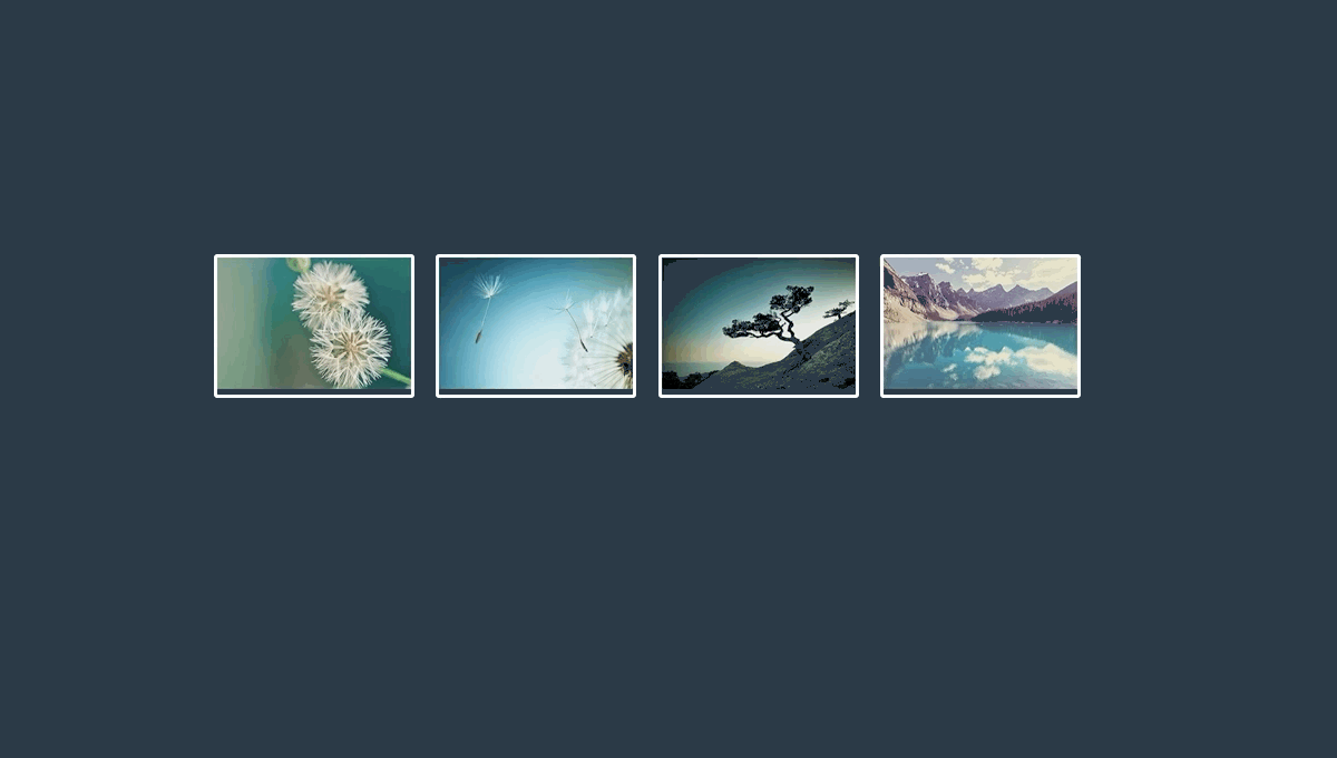 67 CSS Gallery 46 Full featured lightbox gallery