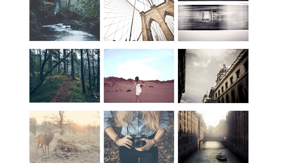 67 CSS Gallery 40 Photo Gallery built with simplicity