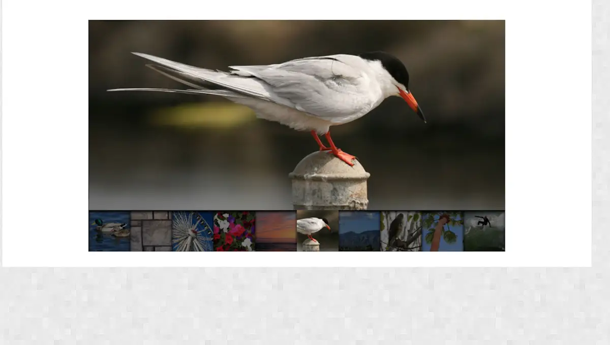 47 jQuery Gallery plugins 8 jQuery Responsive Thumbnail Gallery Plugin