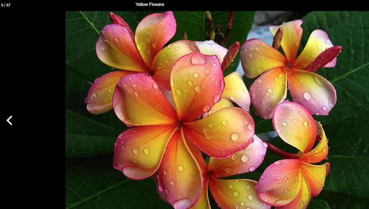 47 jQuery Gallery plugins 17 Unite Gallery