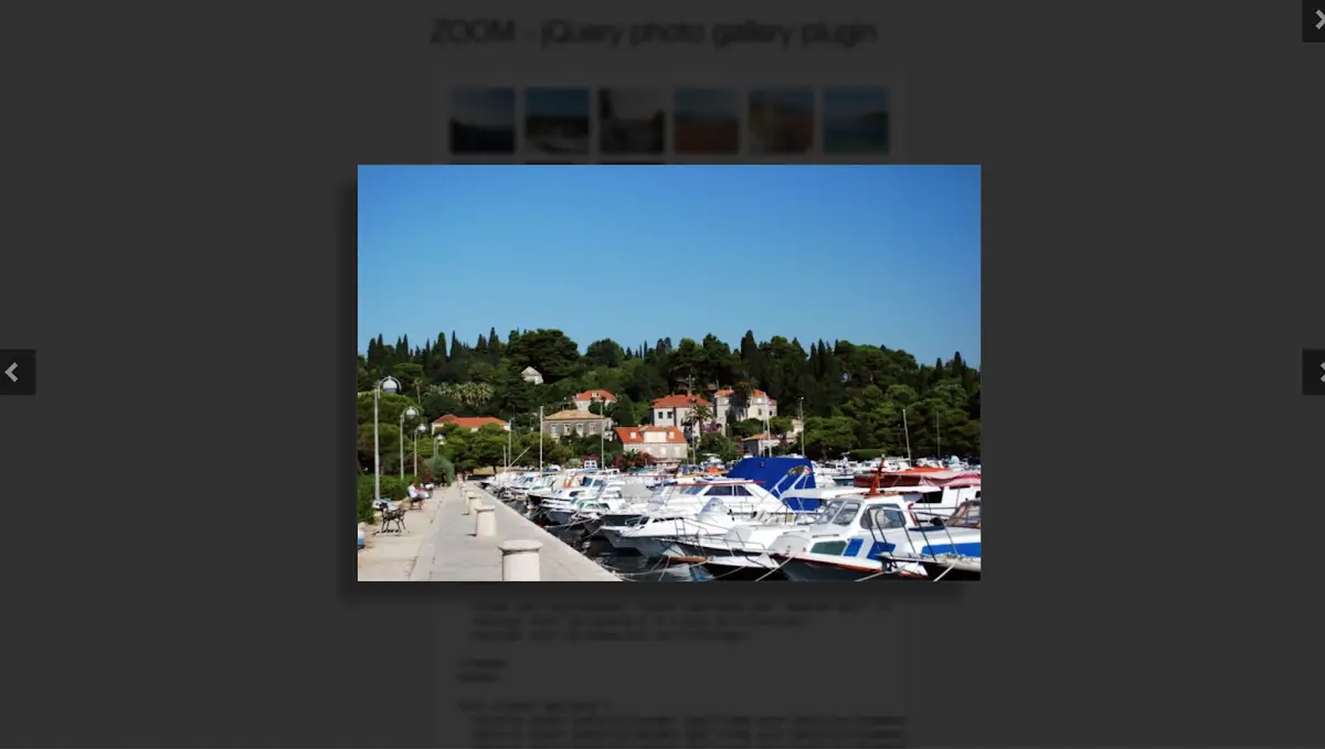 ZOOM - jQuery photo gallery plugin