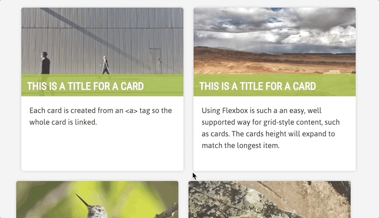 100 Creative CSS Cards 62 Simple Flexbox Cards