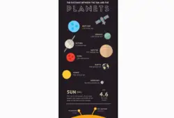 24 Best Free CSS Responsive Infographics - W3tweaks