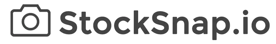 Free Stock Photos and Videos: 10 Websites for Stunning Visuals on Your Website 4 Free Stock Photos and Videos: 10 Websites for Stunning Visuals on Your Website 2